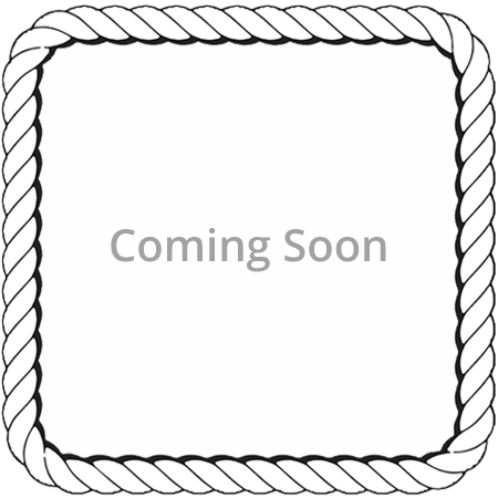 Viking 2000 65ft Sport Cruiser (5 piece shield)