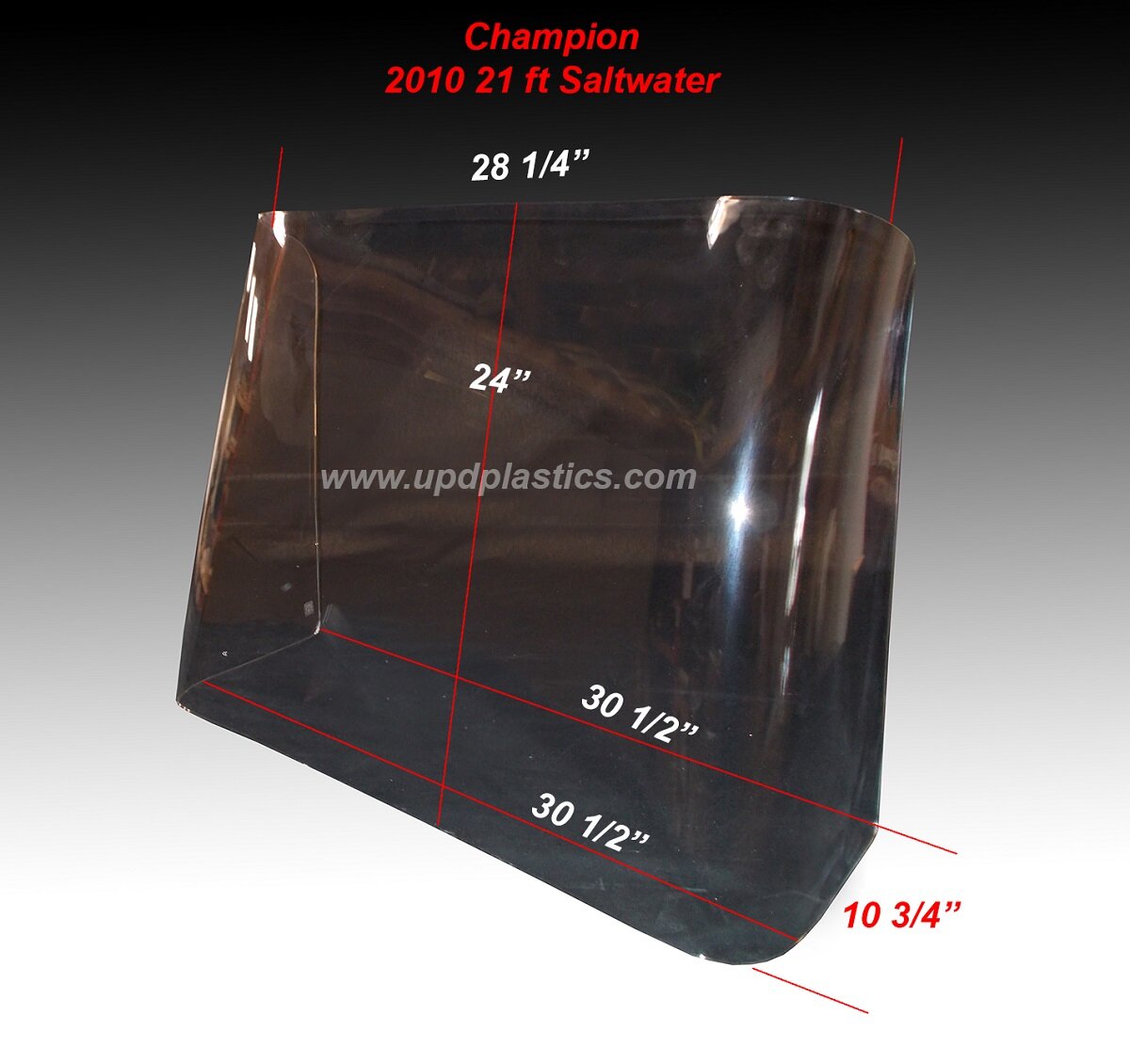 Champion 2010 21ft Saltwater