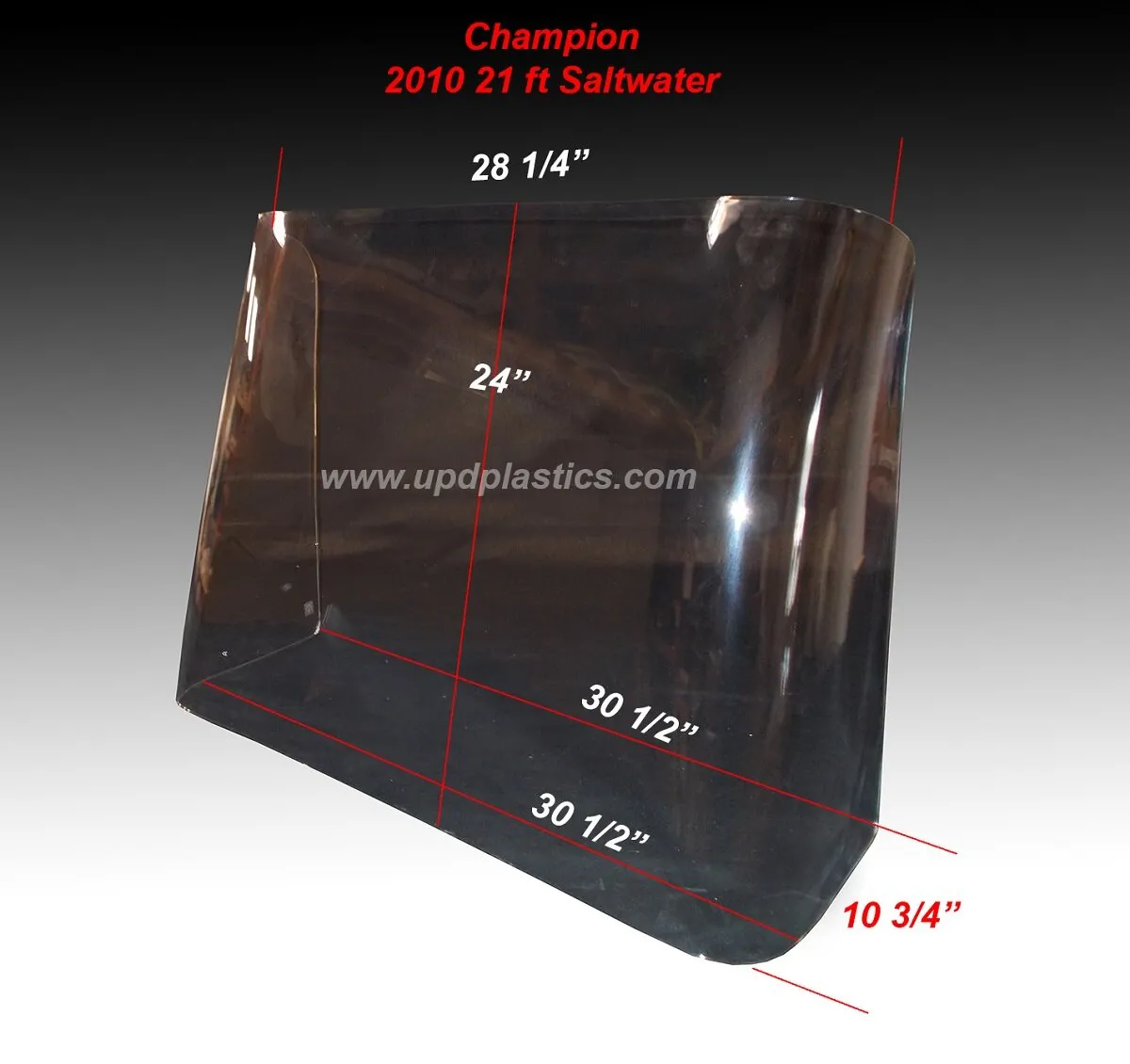 Champion 2010 21ft Saltwater