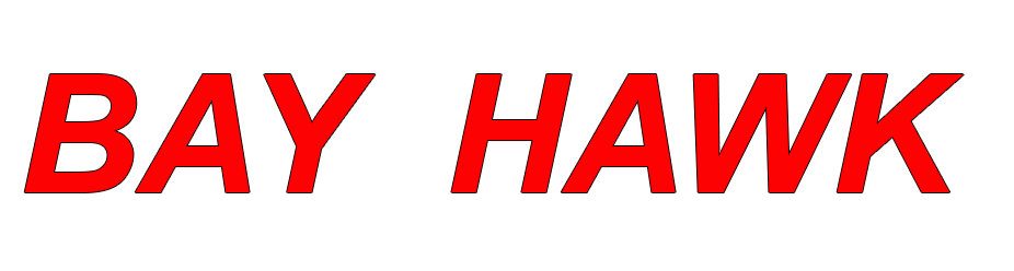 BAY HAWK