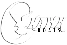 C-HAWK