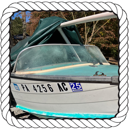 Pictures need Perspective View